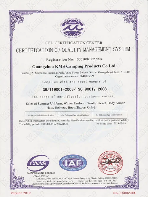 ISO 9001 quality management certification document